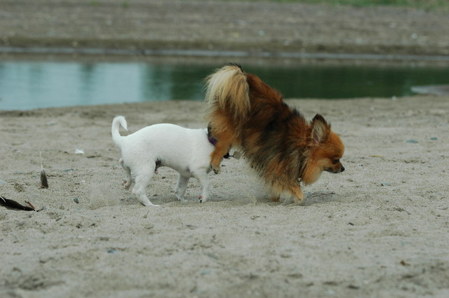 June12_05_457.JPG