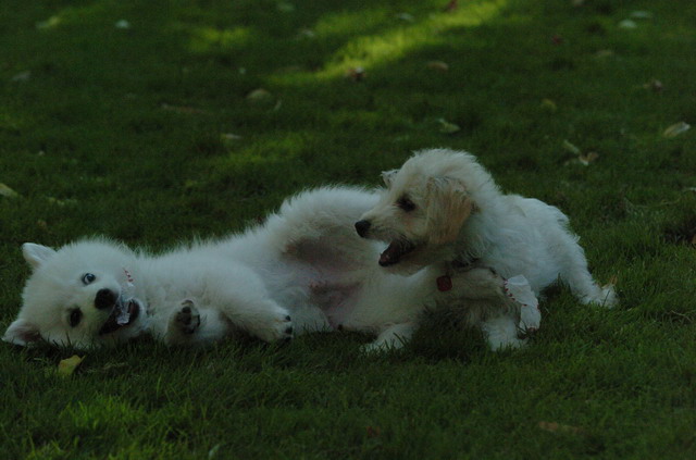 July1a_05_078.JPG