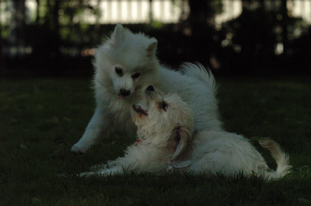 July1a_05_085.JPG