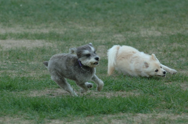 Aug8_05_025.JPG