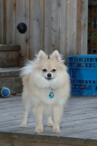 Sept1_05_044.JPG