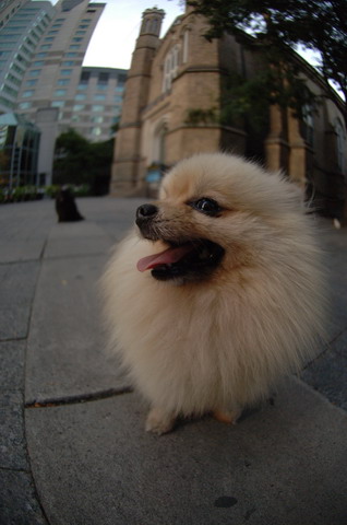 Sept15_05_088.JPG