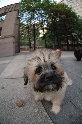 Sept15_05_105.JPG