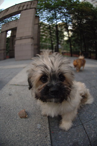 Sept15_05_106.JPG