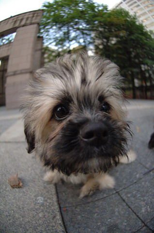 Sept15_05_110.JPG