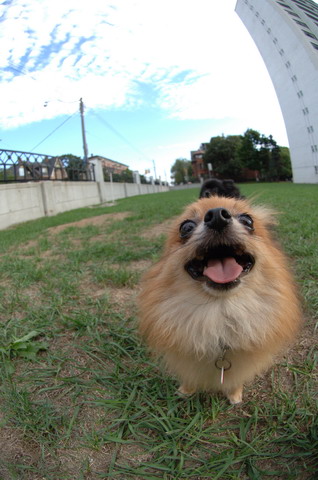 Sept18_05_029.JPG