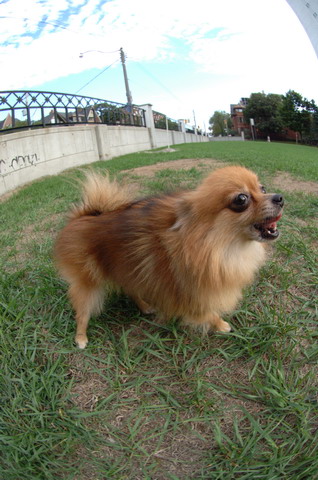 Sept18_05_032.JPG