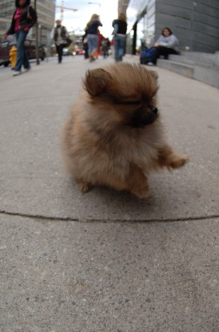 Oct18a_05_062.JPG