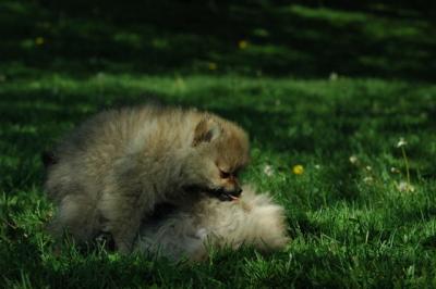 June2_05_237.JPG