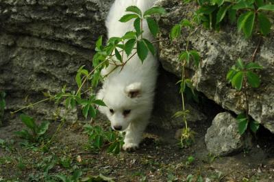 June8_05_393.JPG