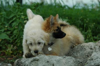June8_05_431.JPG