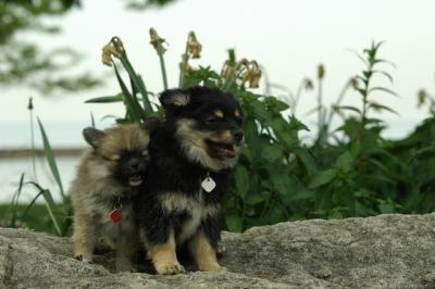 June8_05_499.JPG