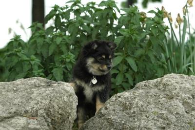 June8_05_527.JPG