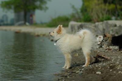 June8_05_553.JPG