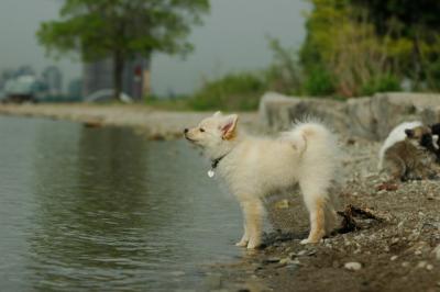 June8_05_554.JPG