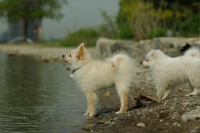 June8_05_556.JPG