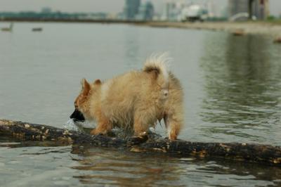 June8_05_574.JPG