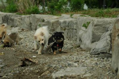 June8_05_579.JPG