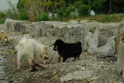 June8_05_580.JPG