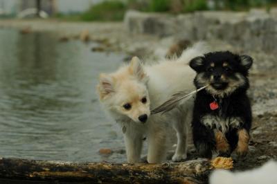 June8_05_583.JPG
