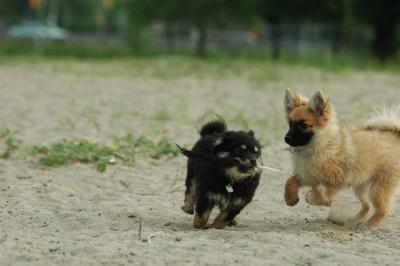 June8_05_248.JPG