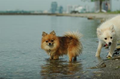 June8_05_276.JPG