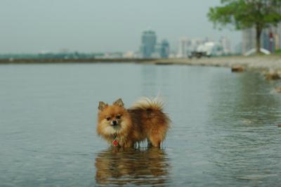 June8_05_277.JPG