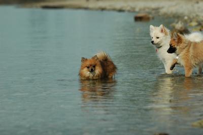 June8_05_302.JPG