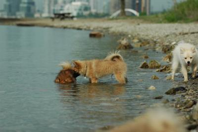 June8_05_304.JPG
