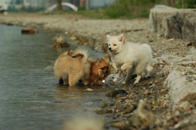 June8_05_308.JPG