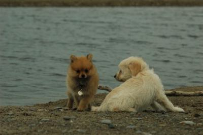 June11_05_475.JPG