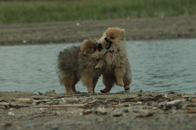 June11_05_492.JPG