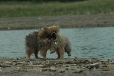 June11_05_493.JPG