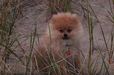 June11_05_507.JPG