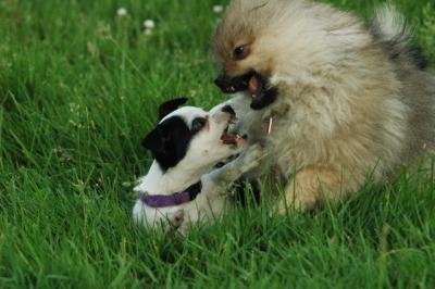 June11_05_532.JPG
