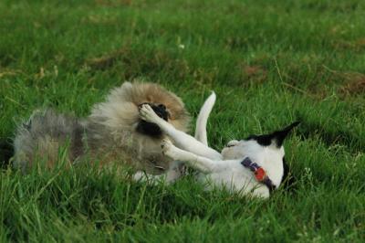 June11_05_549.JPG