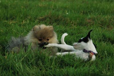 June11_05_550.JPG
