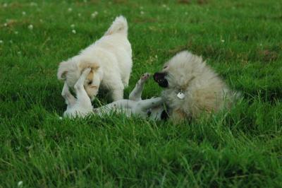 June11_05_560.JPG