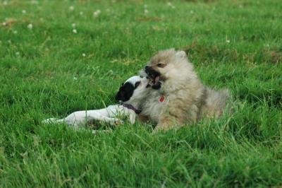 June11_05_563.JPG