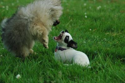 June11_05_568.JPG