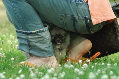 June12_05_545.JPG