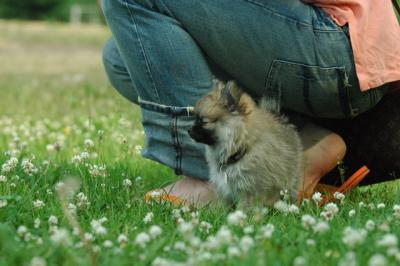 June12_05_548.JPG