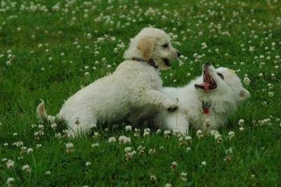 June12_05_562.JPG