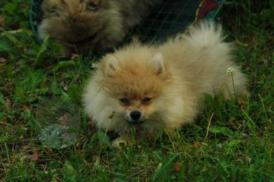 June12_05_568.JPG