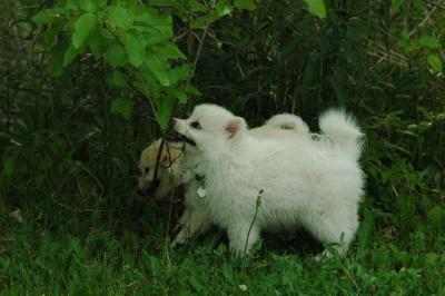 June12_05_585.JPG