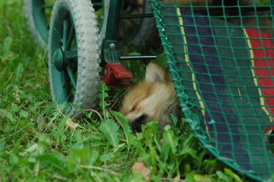 June12_05_587.JPG