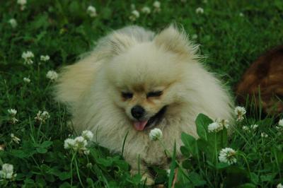 June12_05_588.JPG