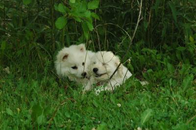 June12_05_589.JPG