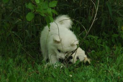 June12_05_590.JPG