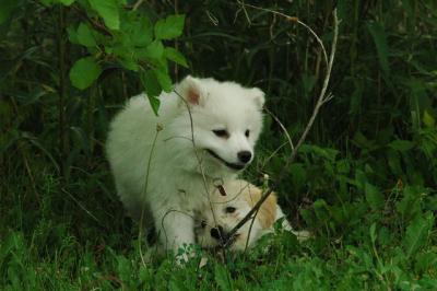 June12_05_592.JPG